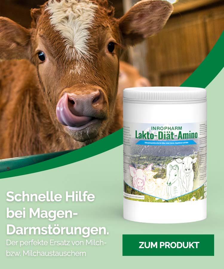 Laktop-Diät-Amino – Schnelle Hilfe bei Magen-Darmstörungen. Der perfekte Ersatz von Milch- bzw. Milchaustauschern
