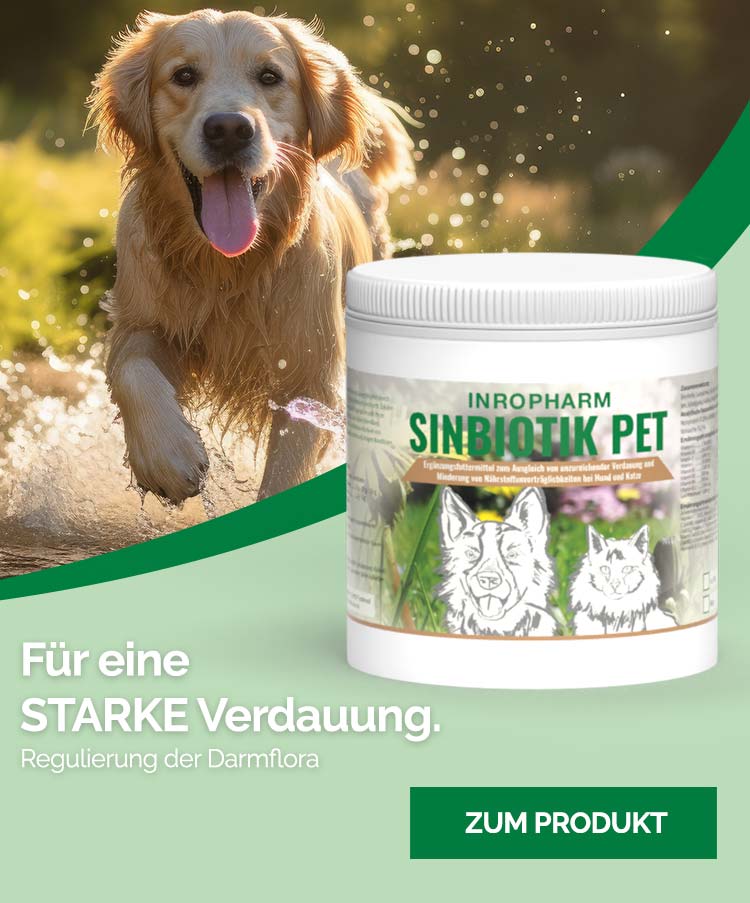 SINBIOTIK PET – Für eine STARKE Verdauung. Regulierung der Darmflora.